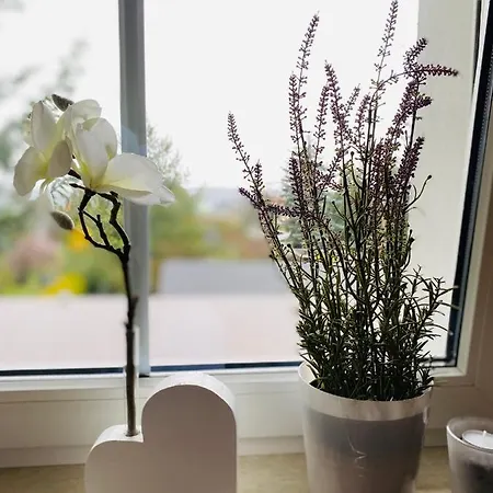 Апартаменты Bautzenblick *