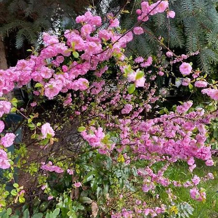 Bautzenblick Doberschau-Gaussig